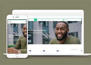 成人高等学校招生网站模板源码 一点学习助手-零基础自学教程-副业项目-兴趣学习项目资源网