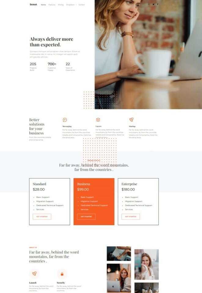 Bootstrap商务咨询服务公司网站HTML模板 一点学习助手-零基础自学教程-副业项目-兴趣学习项目资源网
