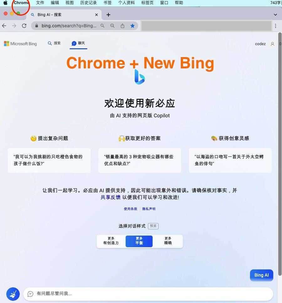 微软New Bing完美聊天机器人源码，支持ChatGPT提示词 国内可用，基本兼容微软 Bing AI 所有功能 一点学习助手-零基础自学教程-副业项目-兴趣学习项目资源网