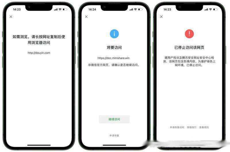 2023最新检测域名是否能在微信正常打开API源码 一点学习助手-零基础自学教程-副业项目-兴趣学习项目资源网