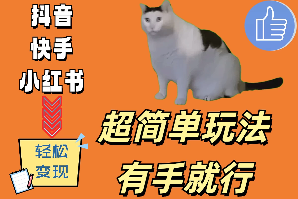 超简单玩法，有手就行，靠猫咪视频日入500+ 一点学习助手-零基础自学教程-副业项目-兴趣学习项目资源网