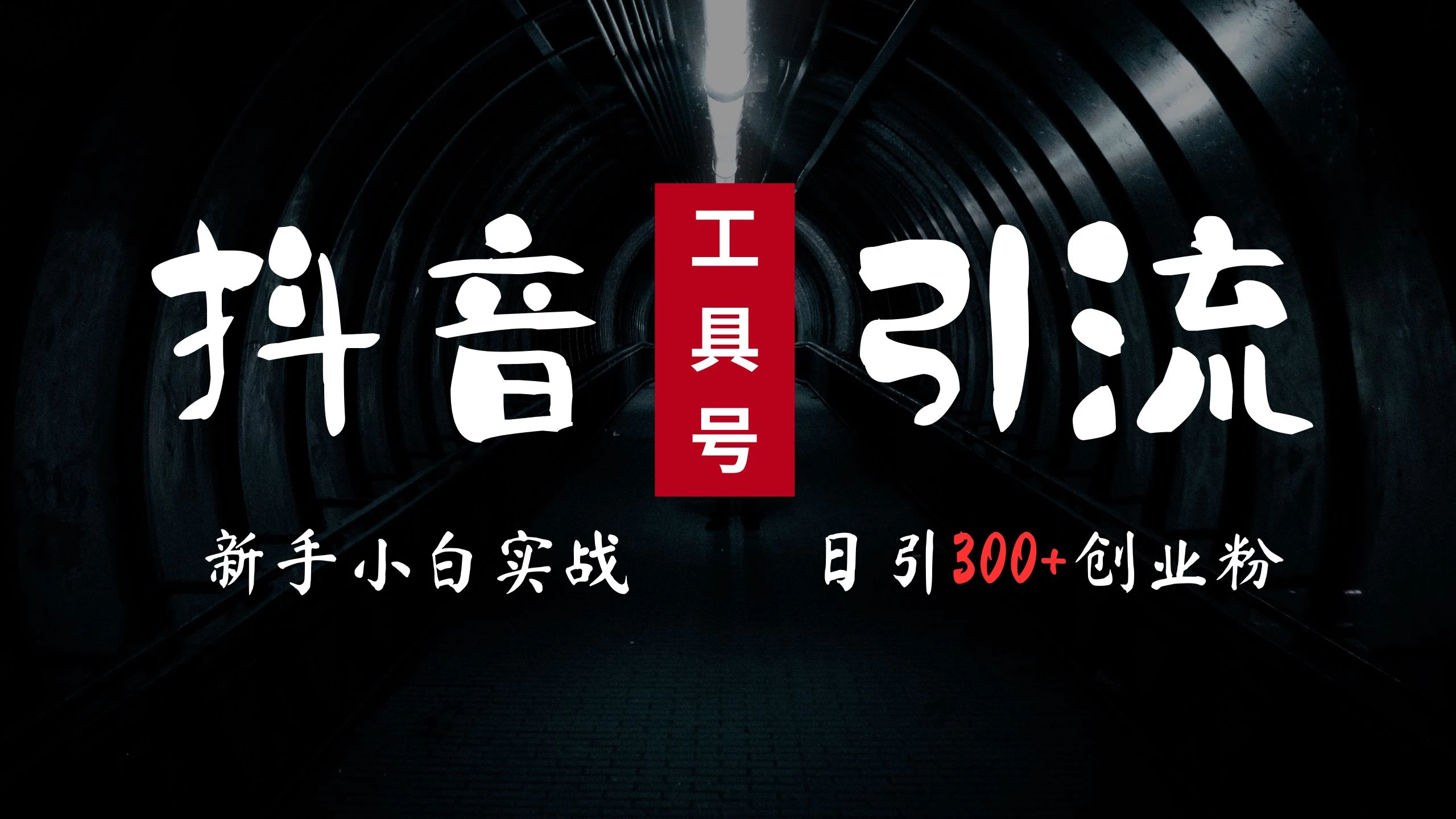 2024最新抖音工具号引流玩法,高效日引300+创业粉,当天变现5000+,小白也可成为实战高手 一点学习助手-零基础自学教程-副业项目-兴趣学习项目资源网