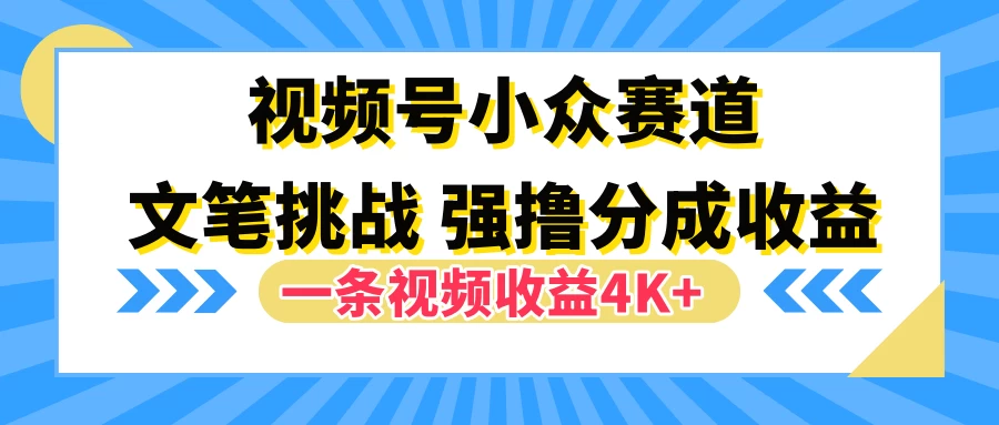 视频号小众赛道，文笔挑战，一条视频收益4K+ 一点学习助手-零基础自学教程-副业项目-兴趣学习项目资源网