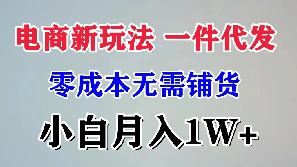 电商新玩法,一件代发,零成本无需铺货,小白月入1W+ 一点学习助手-零基础自学教程-副业项目-兴趣学习项目资源网