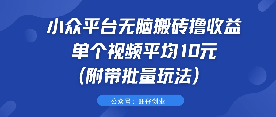 小众平台无脑搬砖撸收益，单个视频平均10元 (附带批量玩法） 一点学习助手-零基础自学教程-副业项目-兴趣学习项目资源网