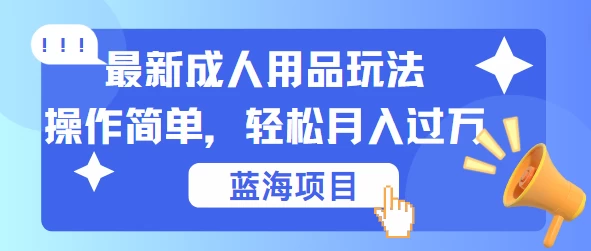 最新成人用品项目玩法,操作简单,蓝海项目轻松月入过万 一点学习助手-零基础自学教程-副业项目-兴趣学习项目资源网