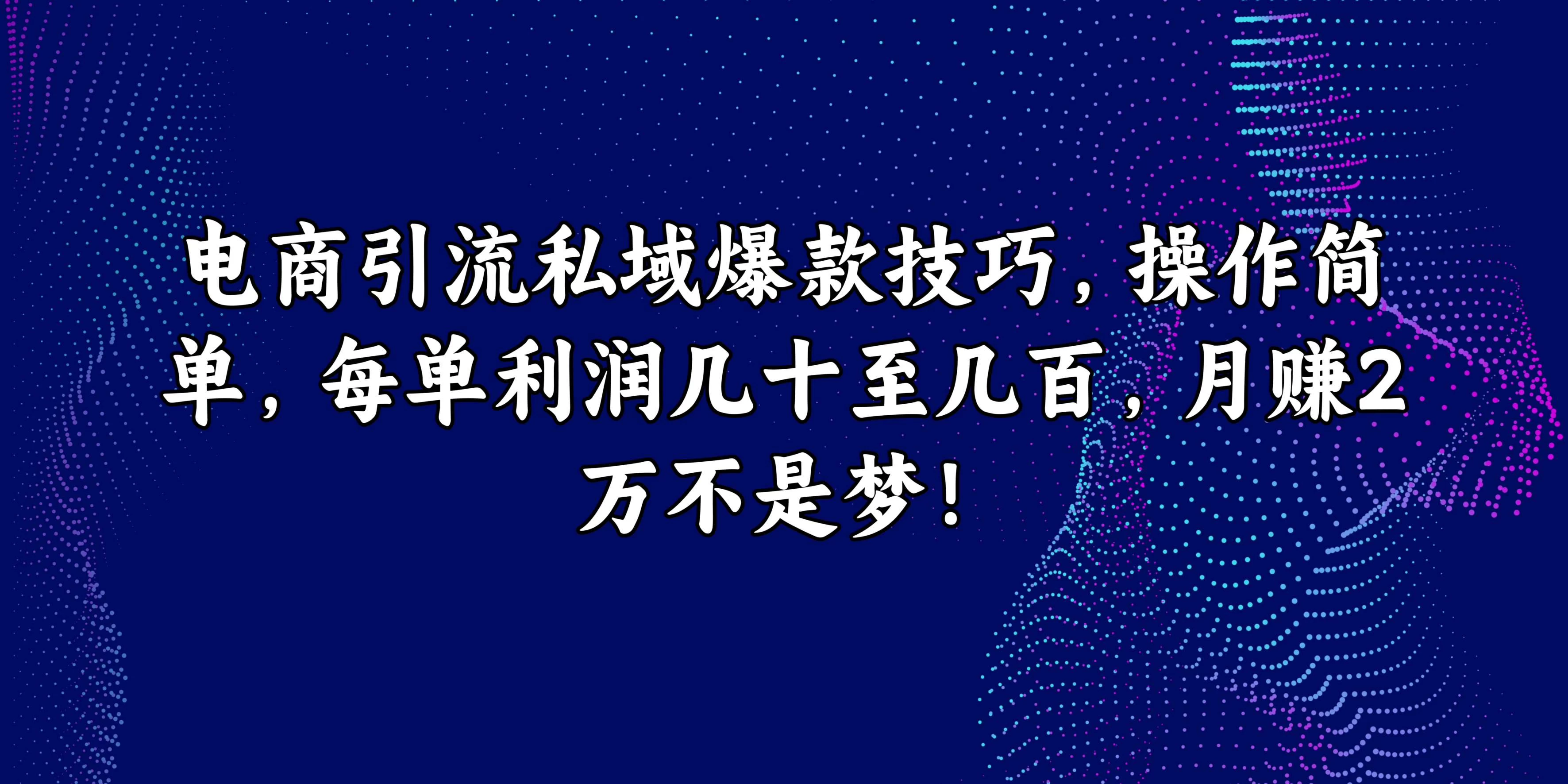电商引流私域爆款技巧，操作简单，每单利润几十至几百，月赚2万不是梦！ 一点学习助手-零基础自学教程-副业项目-兴趣学习项目资源网