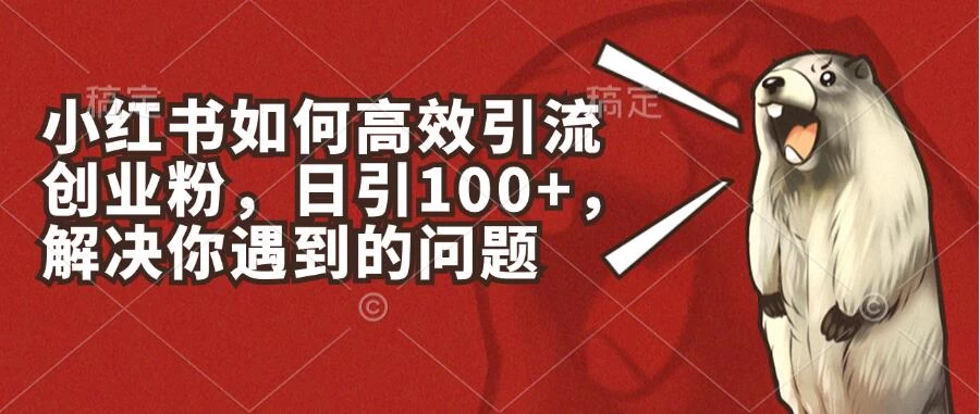 小红书如何高效引流创业粉，日引100+，解决你遇到的问题 一点学习助手-零基础自学教程-副业项目-兴趣学习项目资源网
