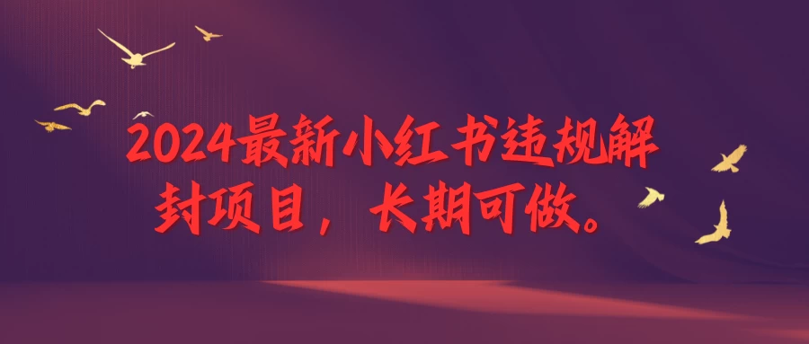 2024最新小红书违规解封项目，一个可以做到退休的项目 一点学习助手-零基础自学教程-副业项目-兴趣学习项目资源网