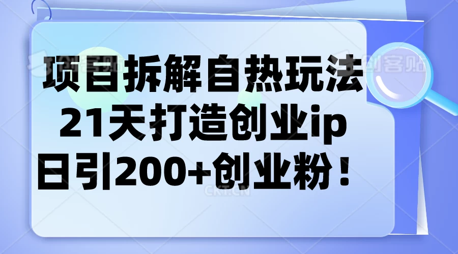 项目拆解自热玩法，21天打造创业IP，日引200+创业粉 一点学习助手-零基础自学教程-副业项目-兴趣学习项目资源网
