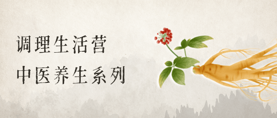 调理生活营：中医养生系列 一点学习助手-零基础自学教程-副业项目-兴趣学习项目资源网
