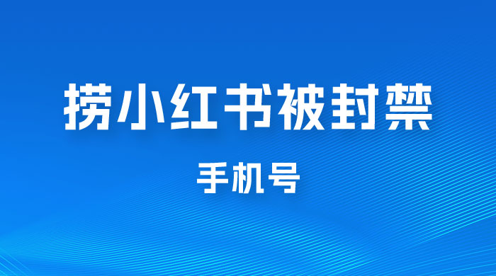 捞小红书被封禁手机号，小红书被封号禁言账号手机换绑 一点学习助手-零基础自学教程-副业项目-兴趣学习项目资源网