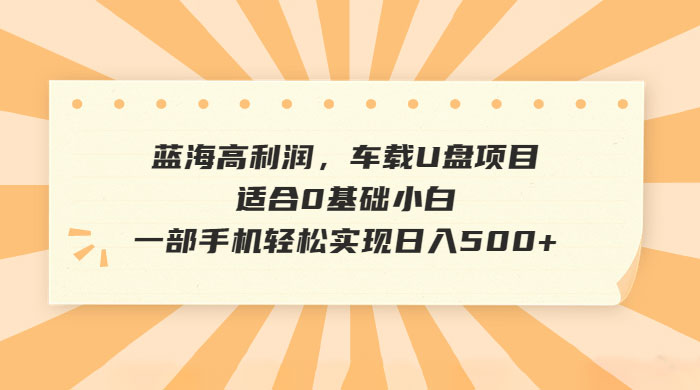 蓝海高利润，车载 U 盘项目，适合 0 基础小白 一点学习助手-零基础自学教程-副业项目-兴趣学习项目资源网