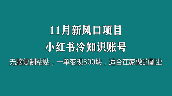 11 月新风口项目，小红书冷知识账号，无脑复制粘贴，一单变现 300 块，适合在家做的副业 一点学习助手-零基础自学教程-副业项目-兴趣学习项目资源网