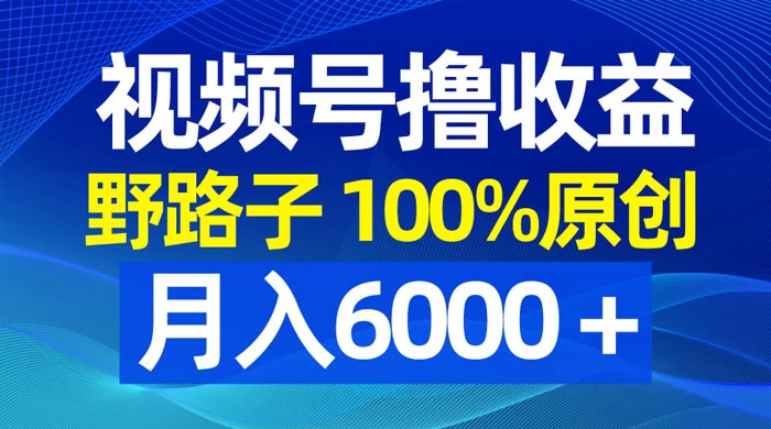 视频号野路子撸收益,100% 原创,条条爆款,月入 6000+ 一点学习助手-零基础自学教程-副业项目-兴趣学习项目资源网
