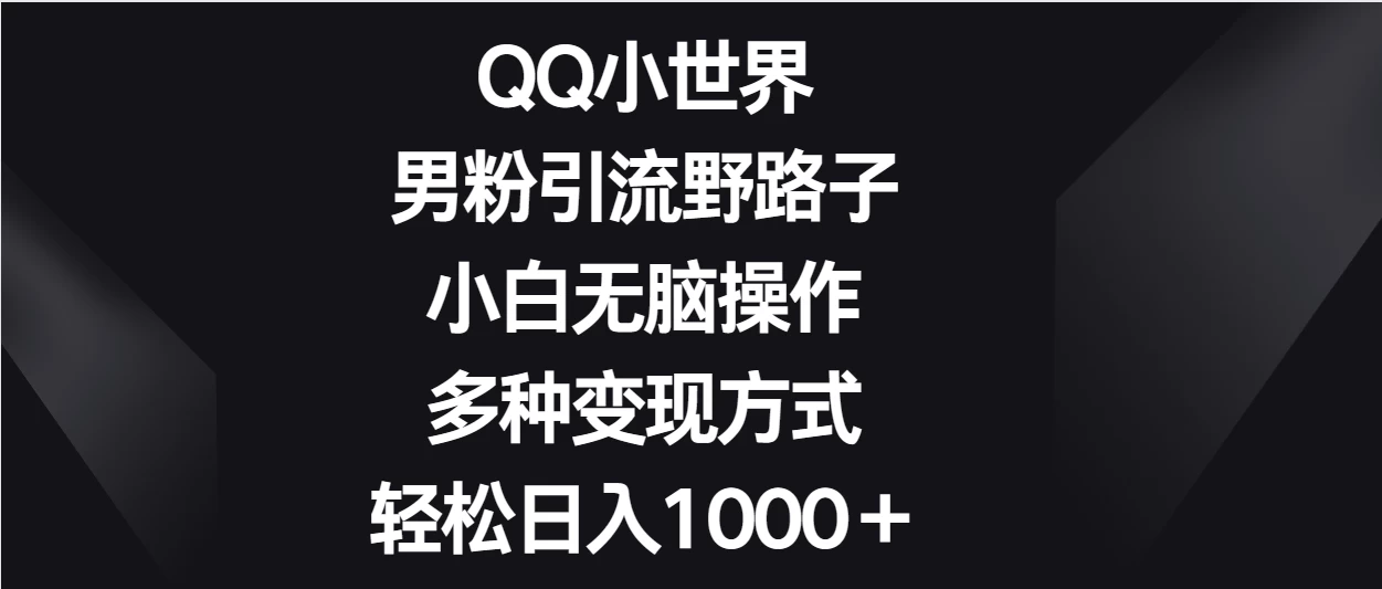 QQ小世界男粉引流野路子，小白无脑操作，多种变现方式轻松日入1000＋ 一点学习助手-零基础自学教程-副业项目-兴趣学习项目资源网