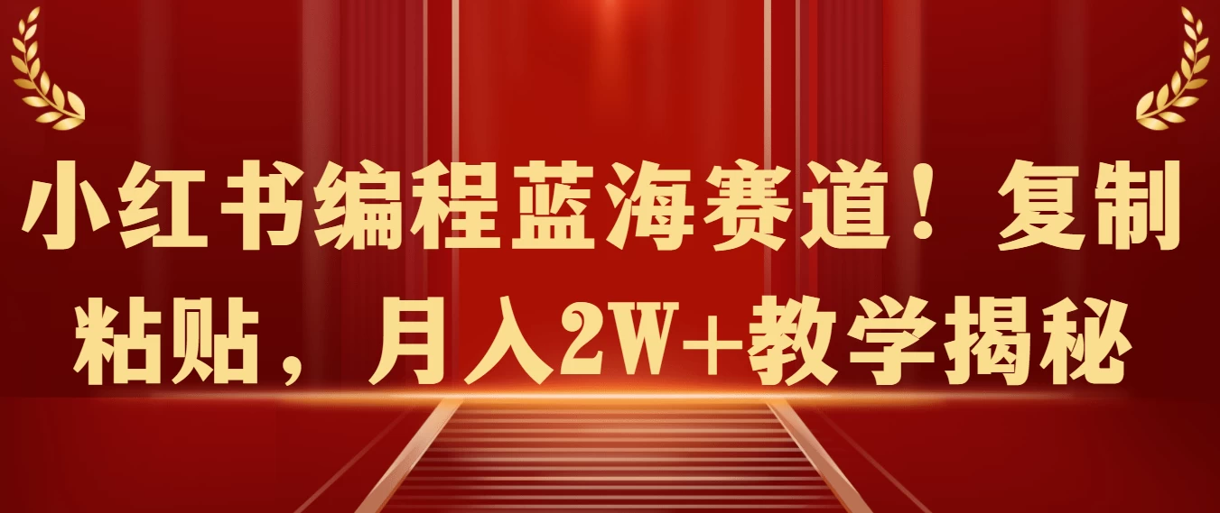 小红书编程蓝海赛道!复制粘贴,月入2W+教学揭秘 一点学习助手-零基础自学教程-副业项目-兴趣学习项目资源网