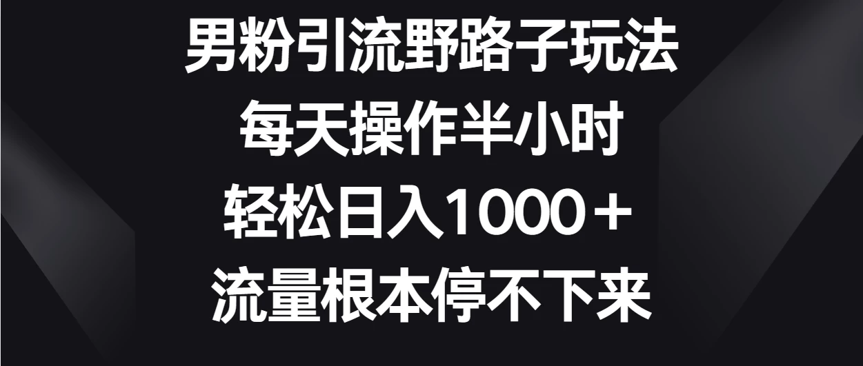 男粉引流野路子玩法,每天操作半小时轻松日入1000+,流量根本停不下来 一点学习助手-零基础自学教程-副业项目-兴趣学习项目资源网