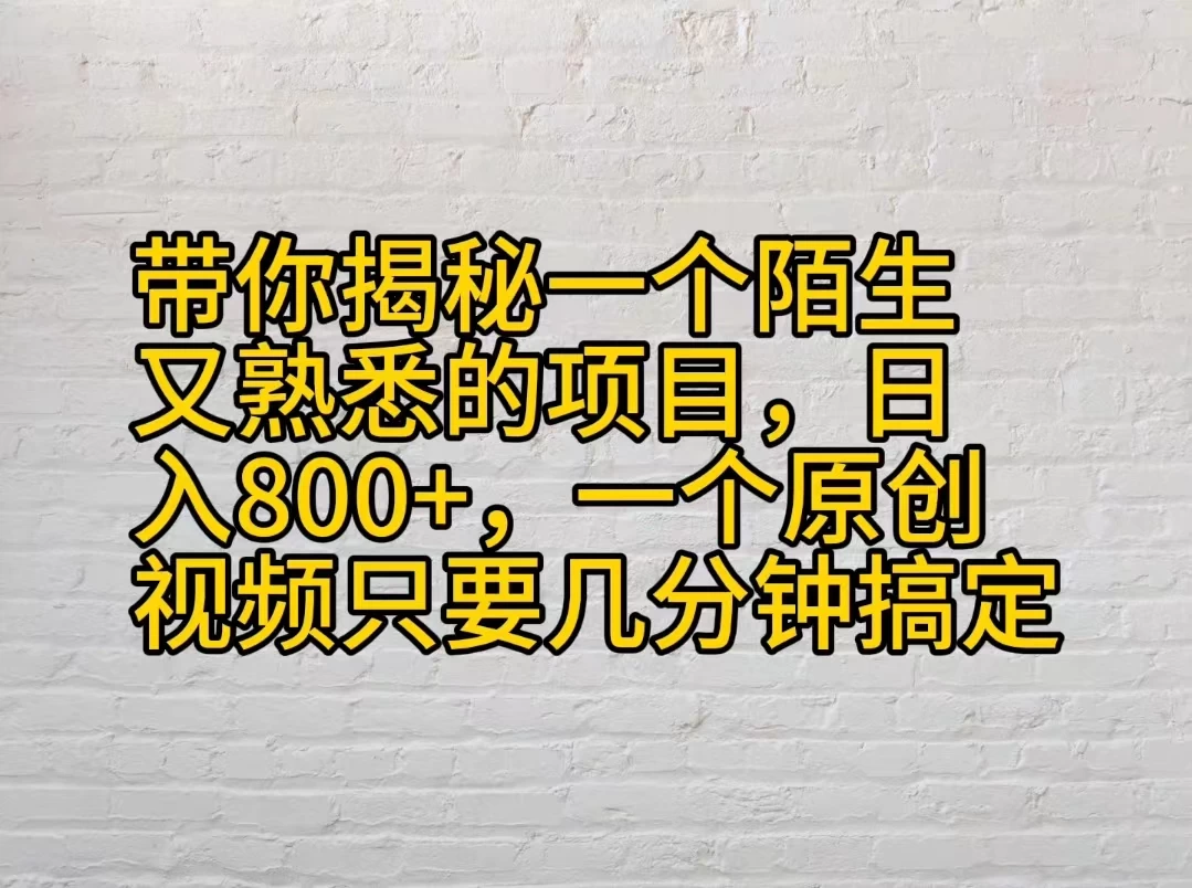 带你揭秘一个陌生又熟悉的项目，日入800+，一个原创视频只要几分钟搞定 一点学习助手-零基础自学教程-副业项目-兴趣学习项目资源网