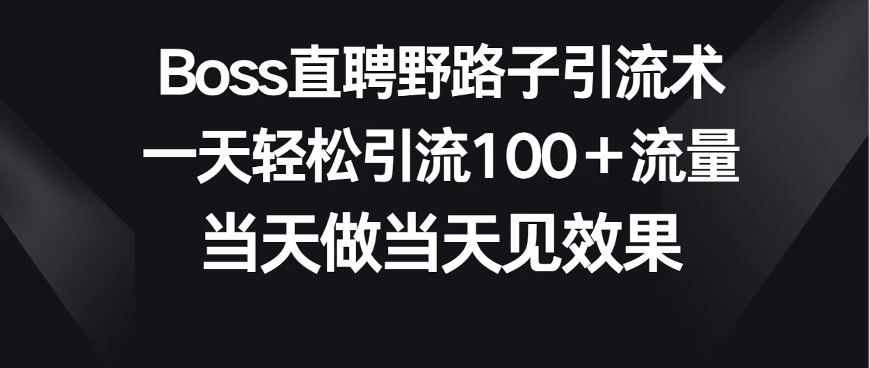 Boss直聘野路子引流术，一天轻松引流100+流量，当天做当天见效果 一点学习助手-零基础自学教程-副业项目-兴趣学习项目资源网