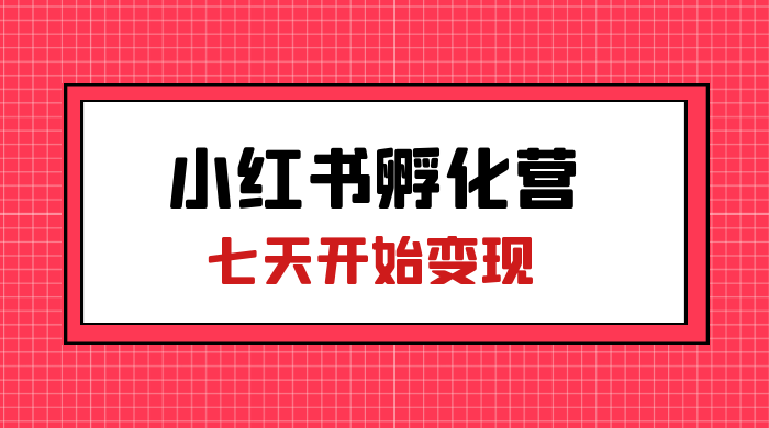 价值 2000+ 的小红书孵化营项目，超级大蓝海，七天即可开始变现，稳定月入 1W+ 一点学习助手-零基础自学教程-副业项目-兴趣学习项目资源网