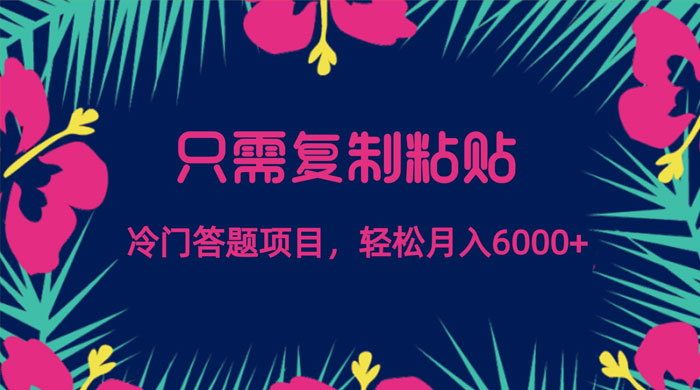 只需复制粘贴,冷门答题项目,轻松月入 6000 一点学习助手-零基础自学教程-副业项目-兴趣学习项目资源网