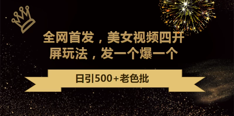 最新成人引流玩法,美女视频四开屏玩法,发一个爆一个,日引流500+精准 一点学习助手-零基础自学教程-副业项目-兴趣学习项目资源网