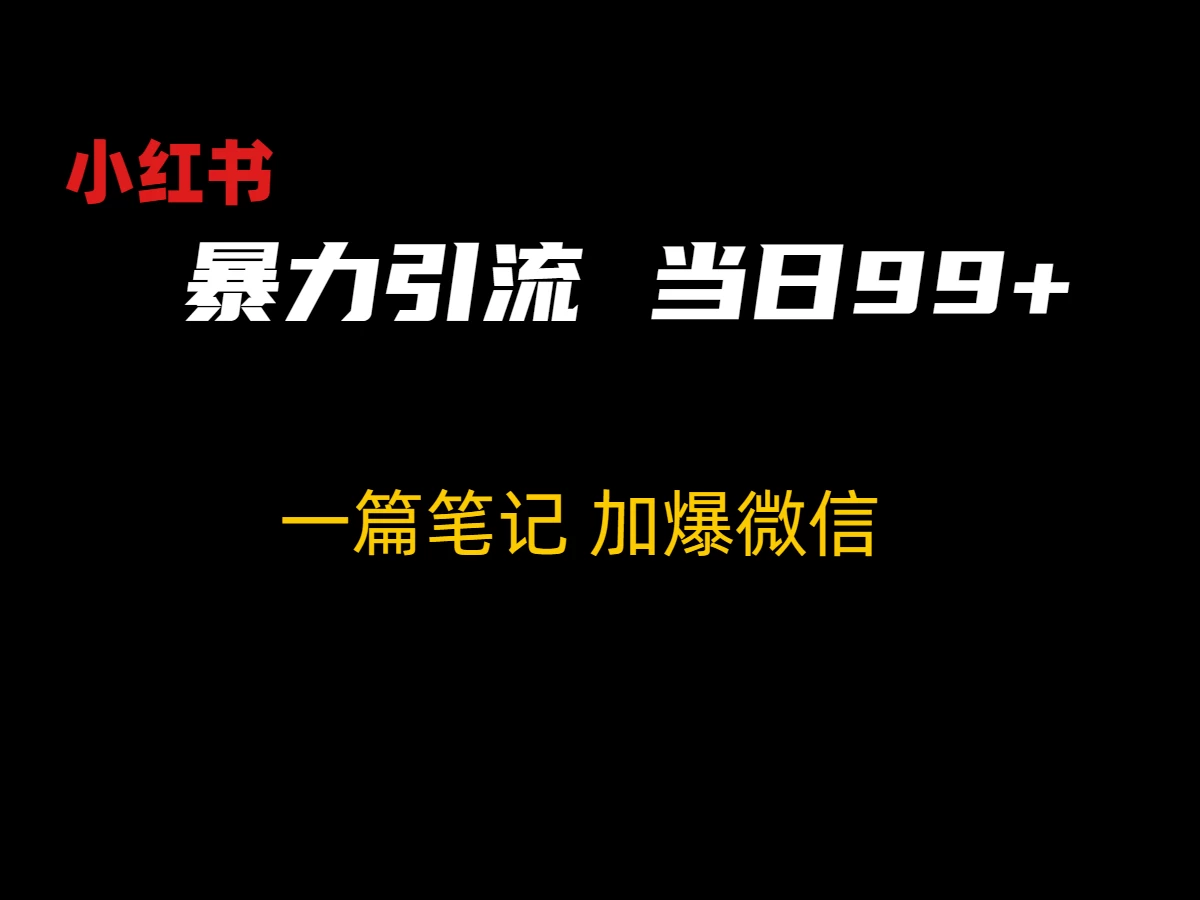 小红书暴力引流方法，当日99+，非常简单的引流方法 一点学习助手-零基础自学教程-副业项目-兴趣学习项目资源网