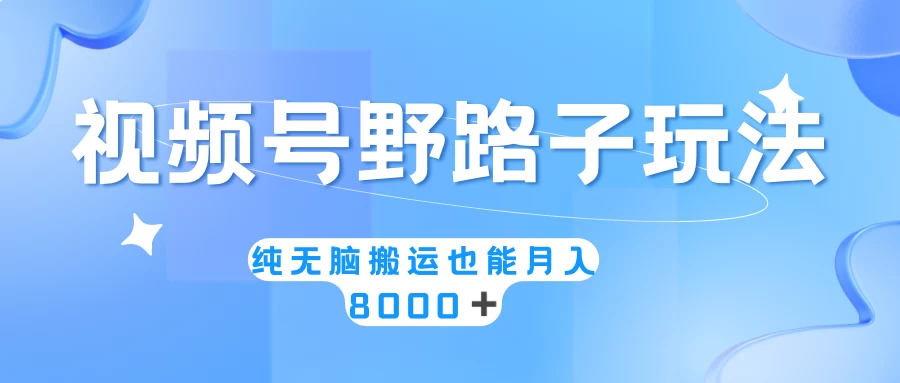 视频号野路子玩法,纯无脑搬运小白可做,月入8000+ 一点学习助手-零基础自学教程-副业项目-兴趣学习项目资源网