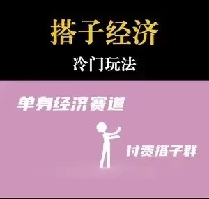 靠搭子经济月入5万每天两小时简单无脑好上手 一点学习助手-零基础自学教程-副业项目-兴趣学习项目资源网
