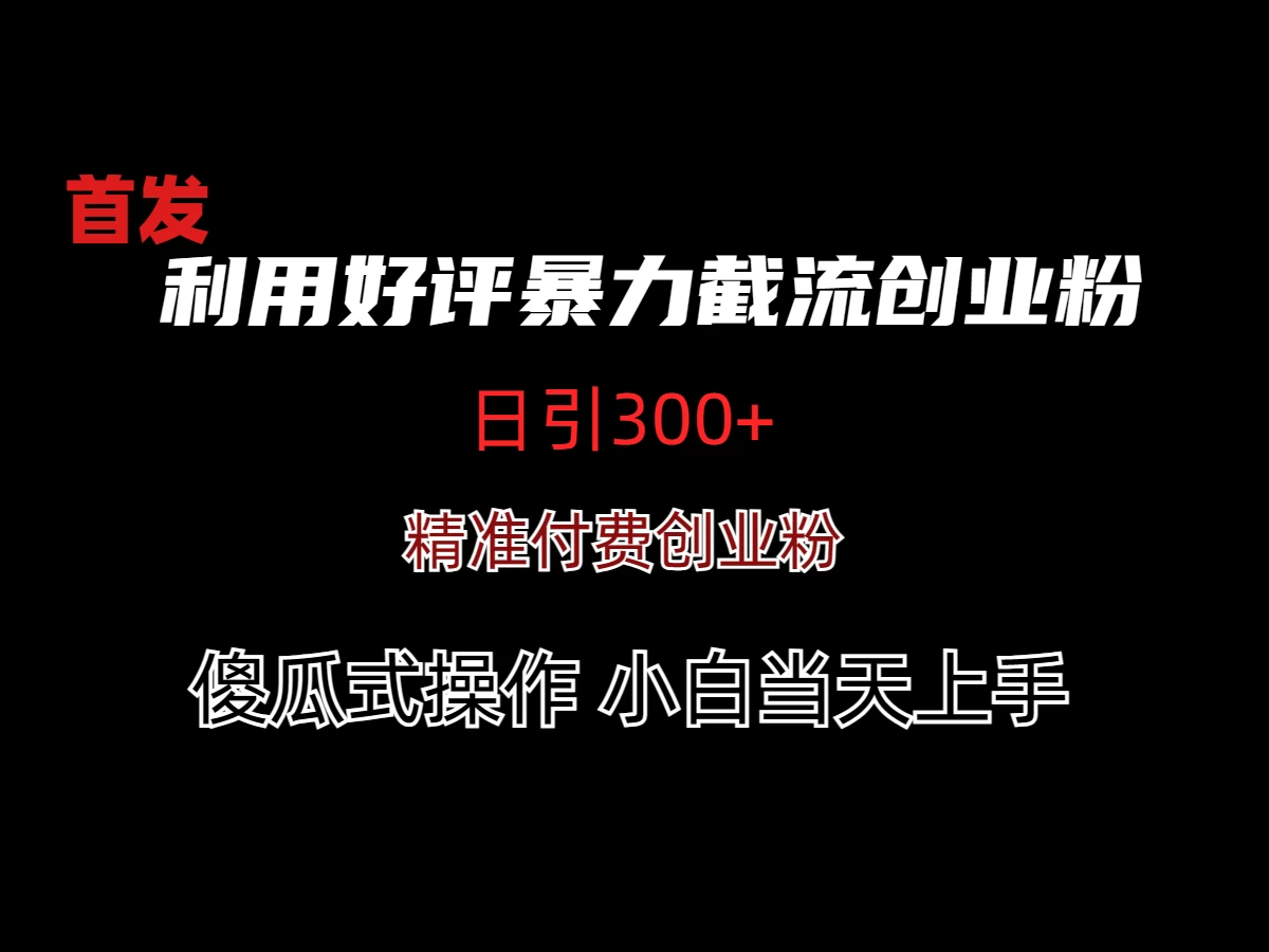 利用好评暴力截流付费创业粉，无需工具，简单且暴力的一个玩法 一点学习助手-零基础自学教程-副业项目-兴趣学习项目资源网