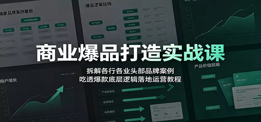商业爆品打造实战课：拆解各行各业头部品牌案例，吃透爆款底层逻辑落地运营教程 一点学习助手-零基础自学教程-副业项目-兴趣学习-网盘拉新平台-英语启蒙项目资源网