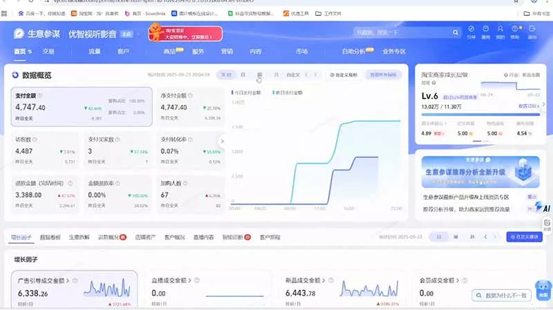 淘宝VIP特训课-更新0917：蓝海选品+付费投放｜短视频AI运营｜大促起爆全流程，破解店铺无流量无利润难题