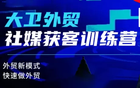 大卫老师·外贸社媒获客独家训练营(更新8月) 一点学习助手-零基础自学教程-副业项目-兴趣学习-网盘拉新平台-英语启蒙项目资源网