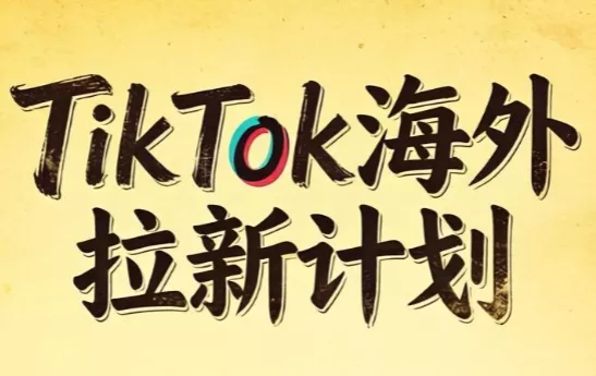 Tc联盟·TikTok海外拉新项目(更新9月) 一点学习助手-零基础自学教程-副业项目-兴趣学习-网盘拉新平台-英语启蒙项目资源网