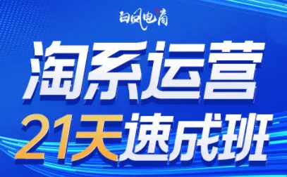 白凤电商·淘系运营21天速成班(更新8月) 一点学习助手-零基础自学教程-副业项目-兴趣学习-网盘拉新平台-英语启蒙项目资源网