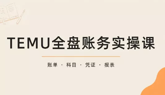 TEMU全盘账务实操课：账单导出、科目设置、利润核算 一点学习助手-零基础自学教程-副业项目-兴趣学习-网盘拉新平台-英语启蒙项目资源网
