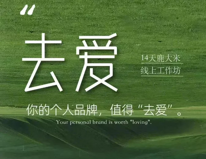去爱14天鹿大米线上工作坊，你的个人品牌，值得“去爱” 一点学习助手-零基础自学教程-副业项目-兴趣学习-网盘拉新平台-英语启蒙项目资源网
