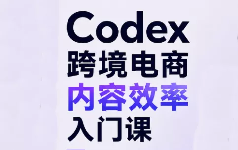 Codex跨境电商内容效率入门课 一点学习助手-零基础自学教程-副业项目-兴趣学习-网盘拉新平台-英语启蒙项目资源网