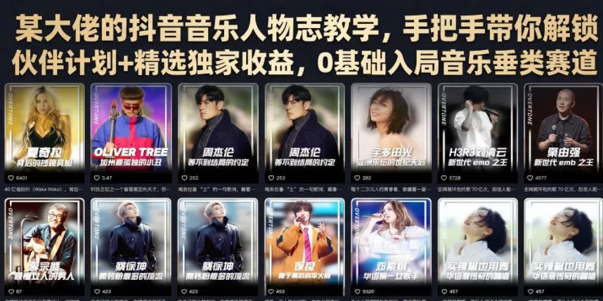 某大佬的抖音音乐人物志教学，手把手带你解锁伙伴计划+精选独家收益，0基础入局音乐垂类赛道 一点学习助手-零基础自学教程-副业项目-兴趣学习-网盘拉新平台-英语启蒙项目资源网